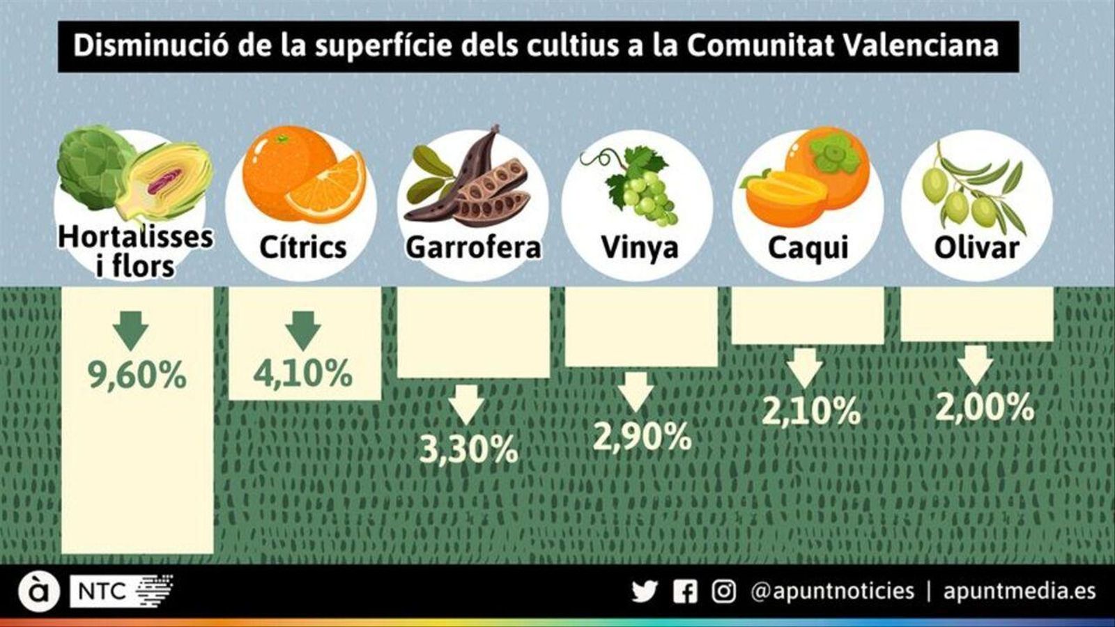 Disminució de la superfície dels cultius a la Comunitat Valenciana