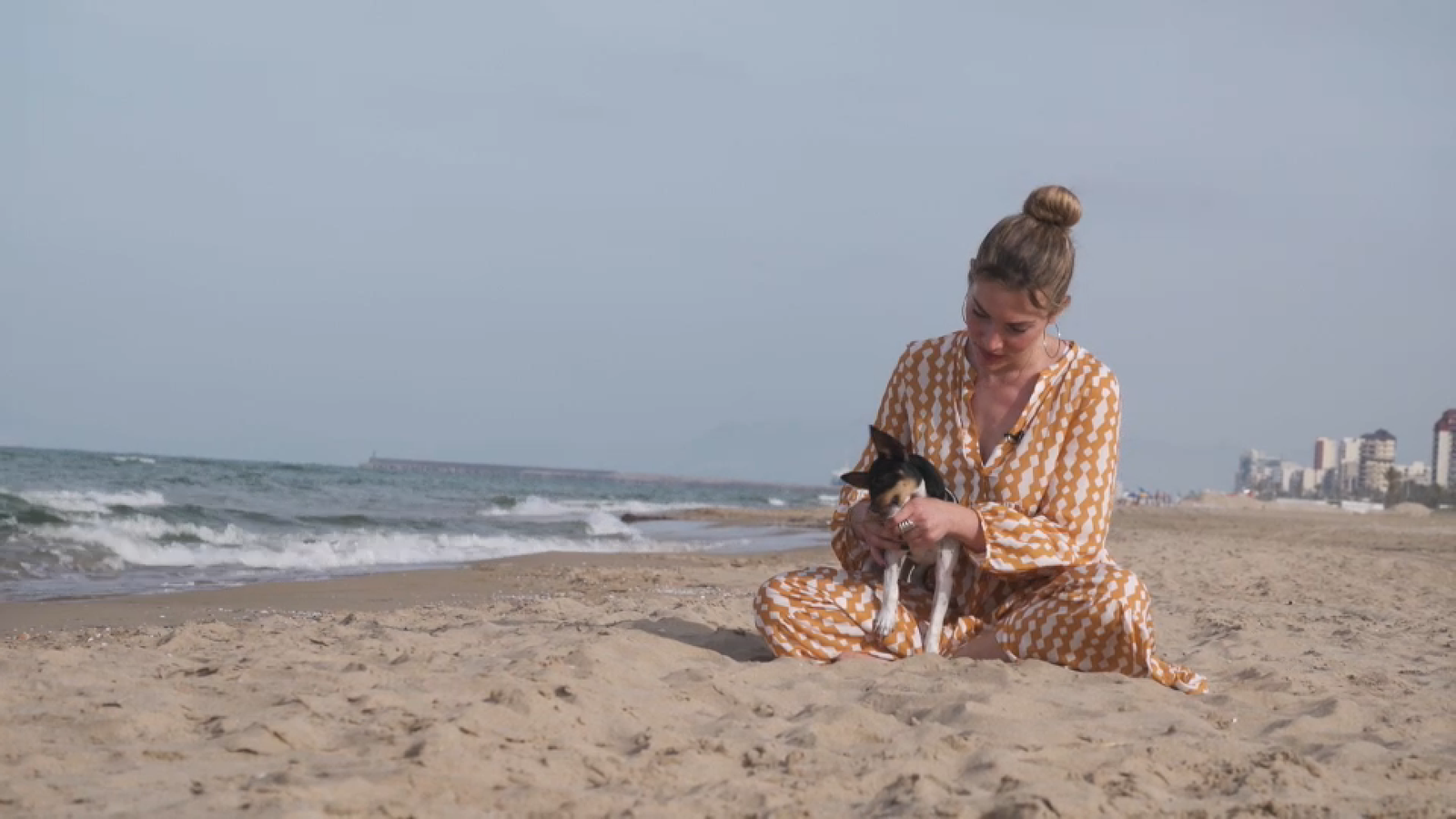 Ipa, la gosseta d'Àlex Blanquer en 'Animalades'