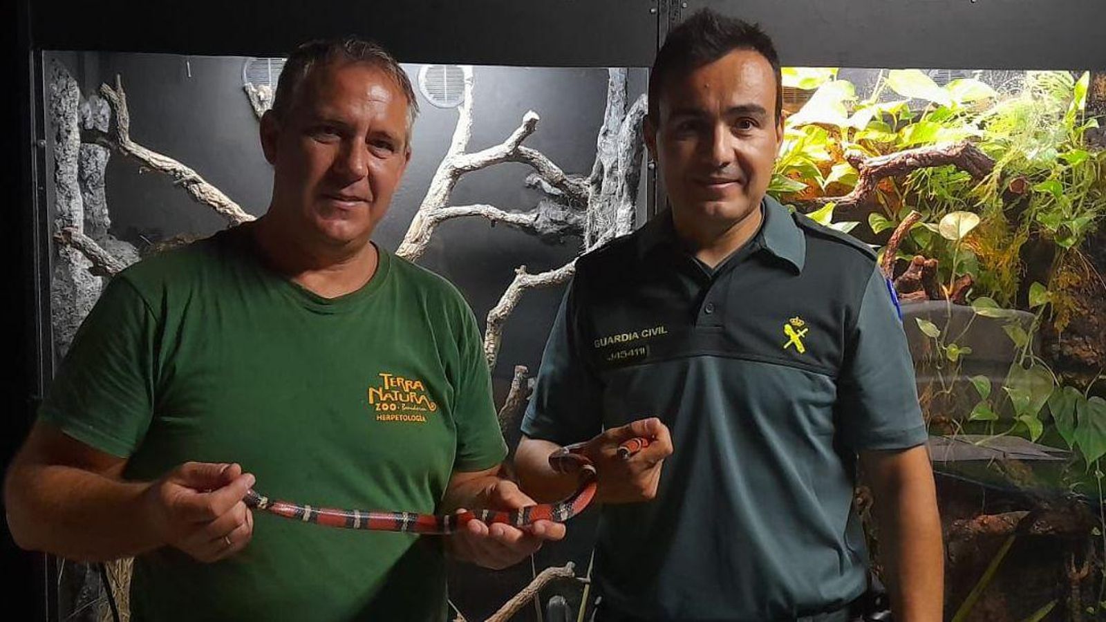 Un expert en herpetologia de Terra Natura de Benidorm i un agent del Seprona amb la serp rescatada de la vivenda de Massanassa