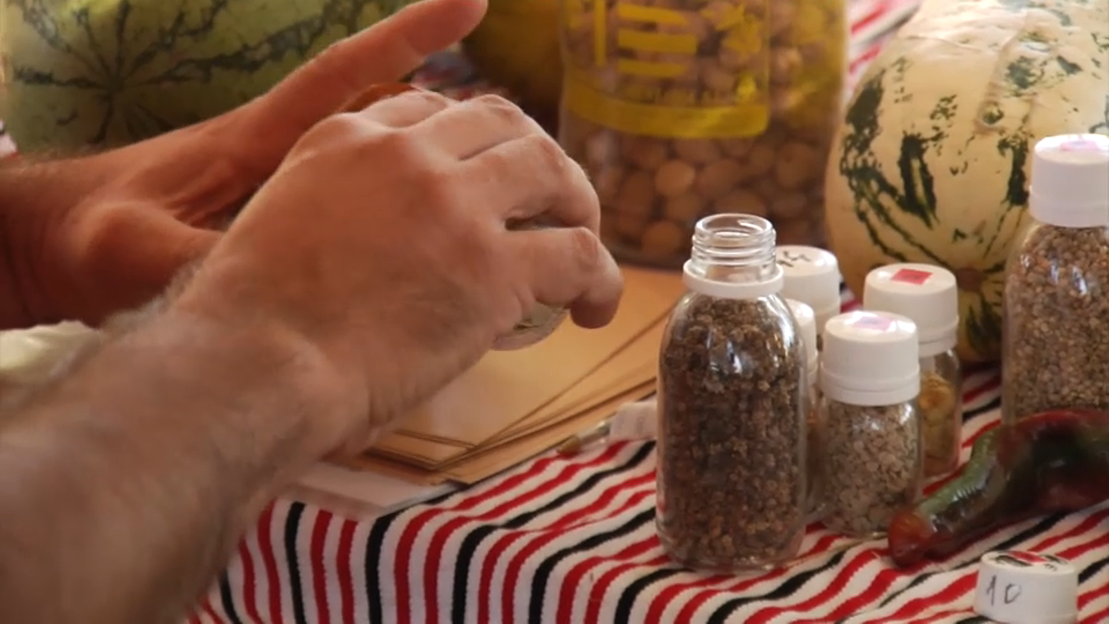 Fira de la Biodiversitat de Benlloc