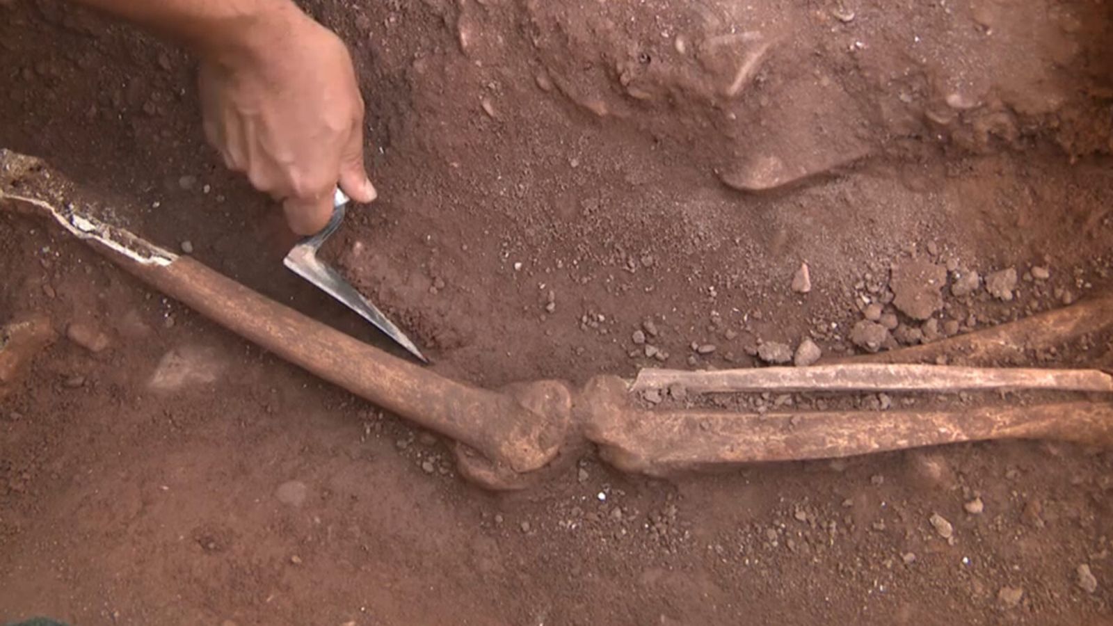 28.06.2022 | Les tasques d’exhumació de cinc individus d’època islàmica a Moncofa