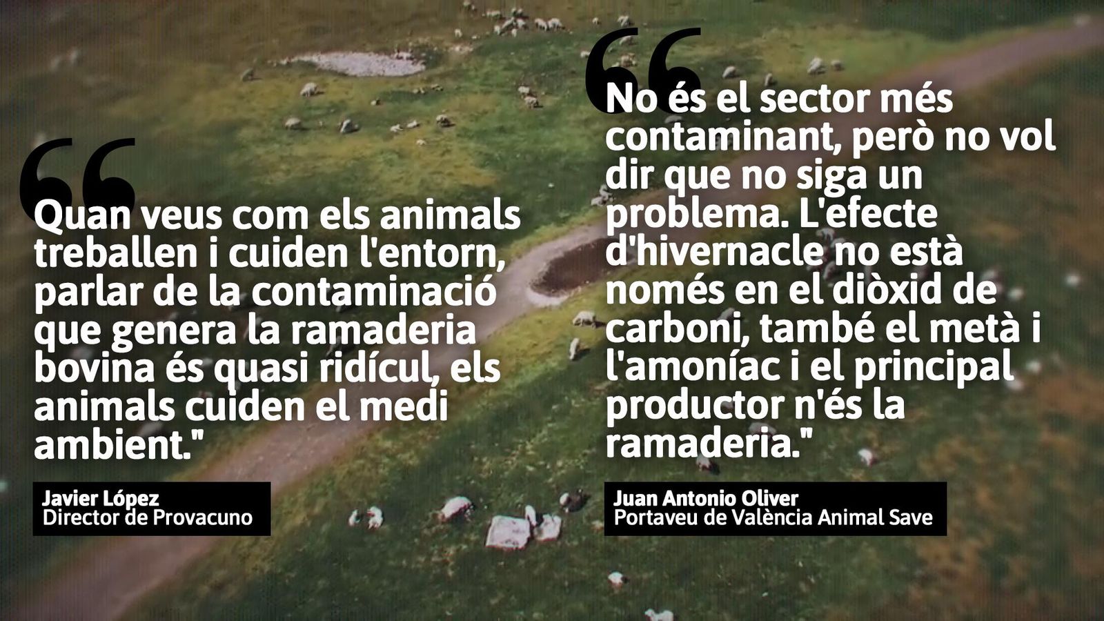 La ramaderia és la responsable d'emetre el 14,5% dels gasos d'efecte hivernacle que afecten el canvi climàtic