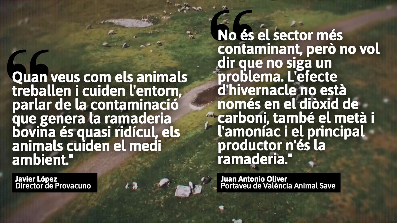 La ramaderia és la responsable d'emetre el 14,5% dels gasos d'efecte hivernacle que afecten el canvi climàtic