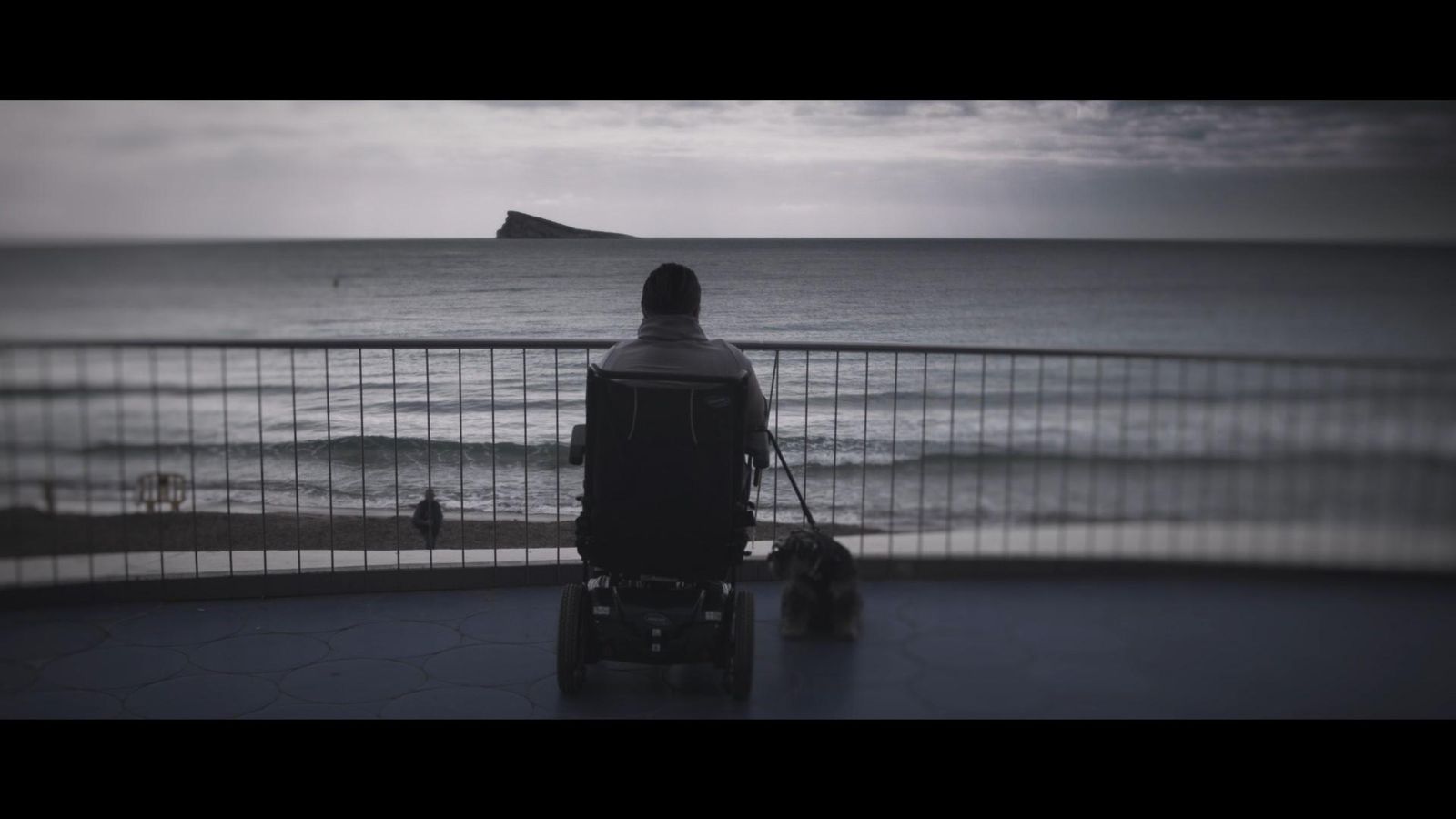 Què li va passar a Rosa Maquieira el 16 de juny de 2020?