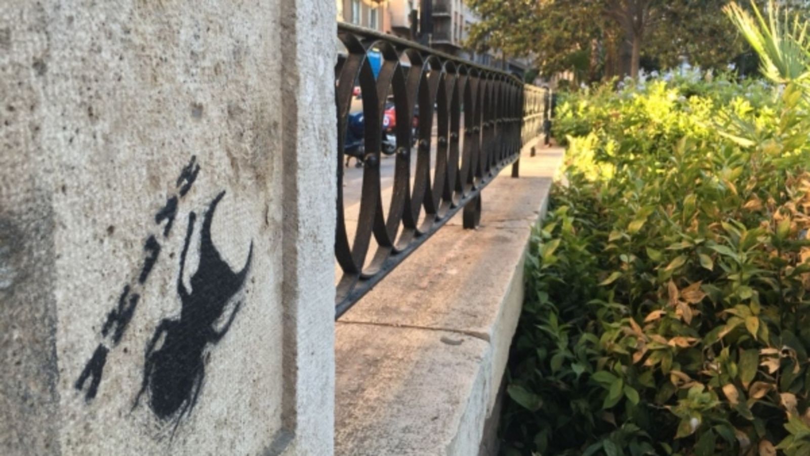 21.06. 2018 | Ens endinsem en \"La metamorfosi\", de Kafka