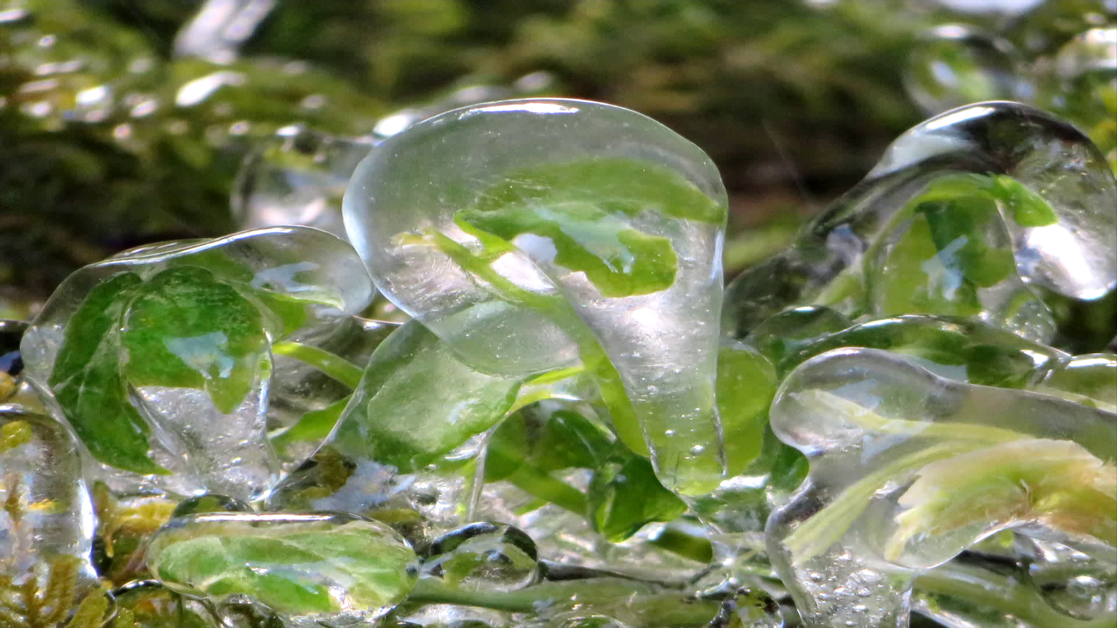 Banyeres de Mariola, l'Alcoià