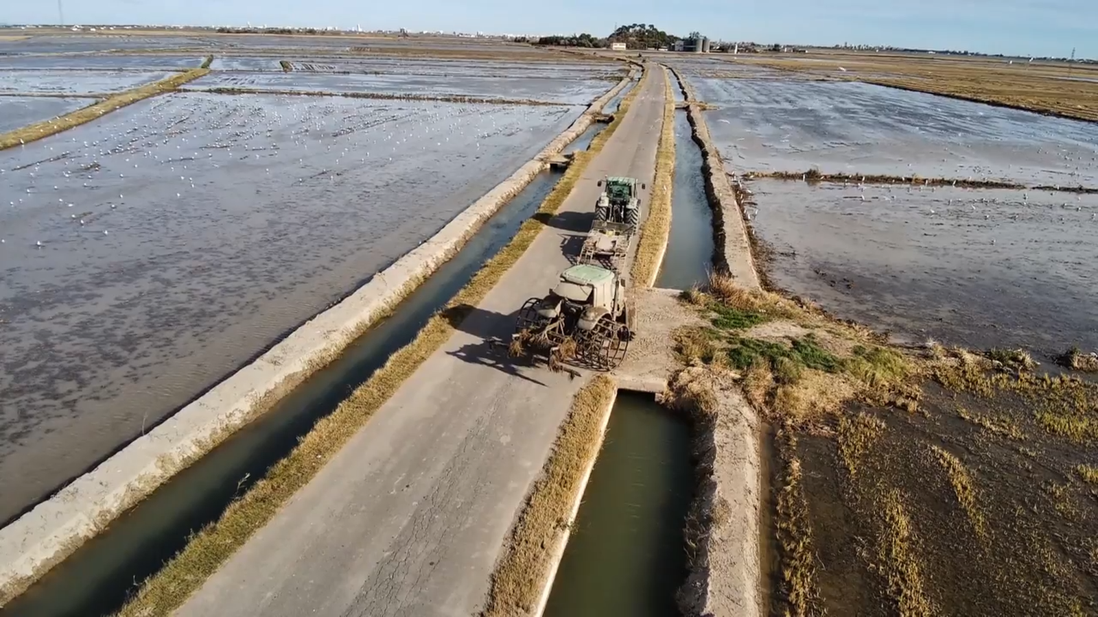 De mar i bancal | Estratègies de subhasta