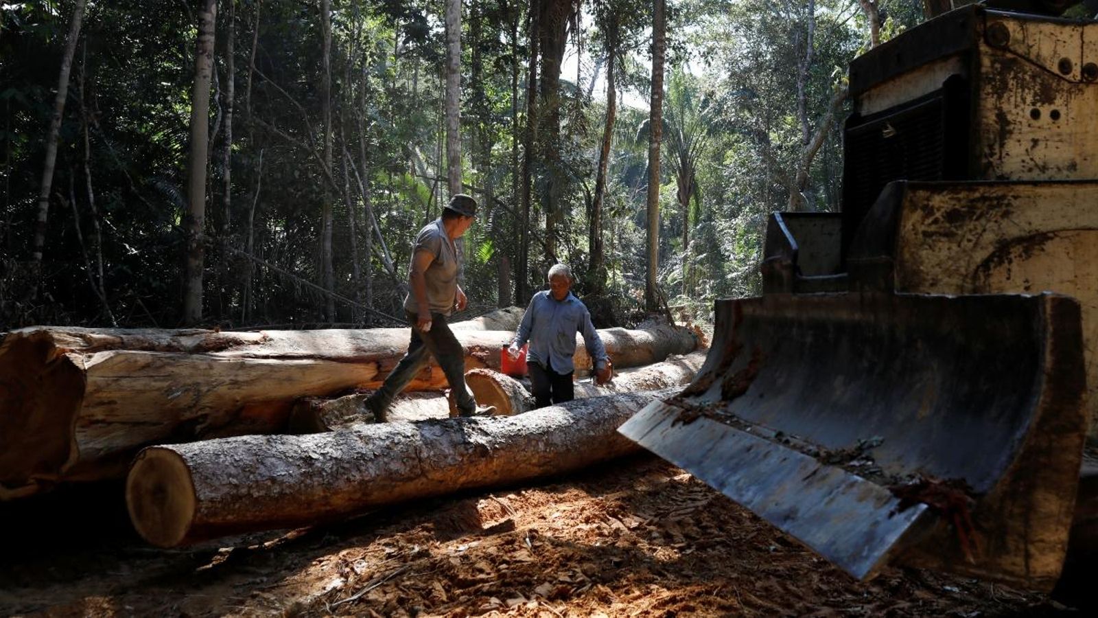 Arbres talats en l'àrea de Bom Retiro, en l'estat d'Amazones, el passat 20 de setembre de 2019