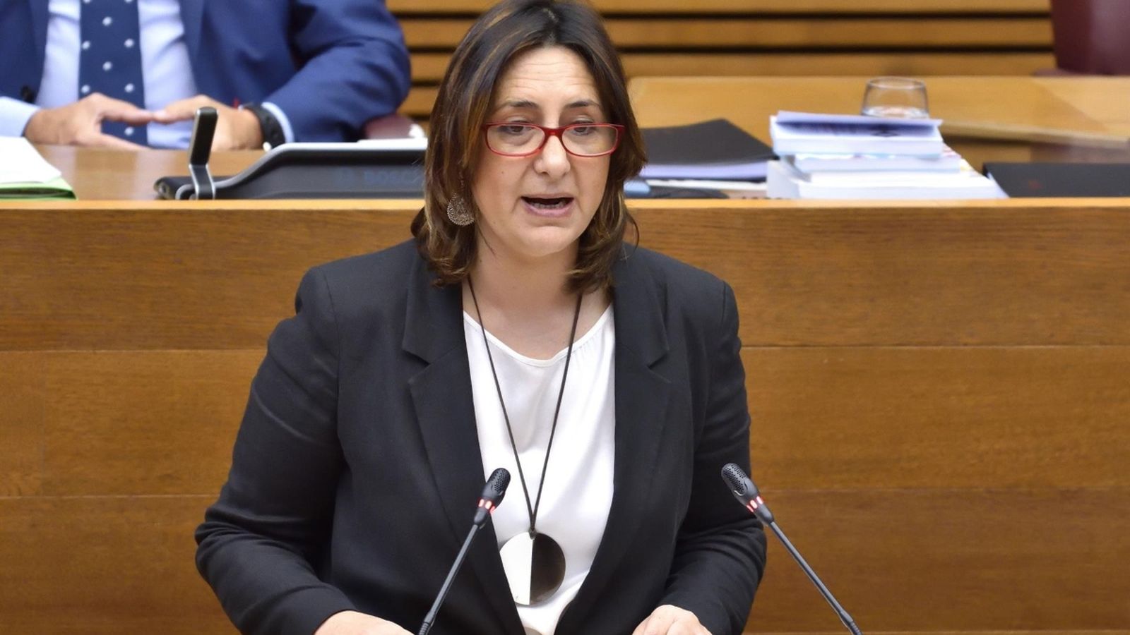 La consellera Rosa Pérez Garijo, durant la intervenció a les Corts