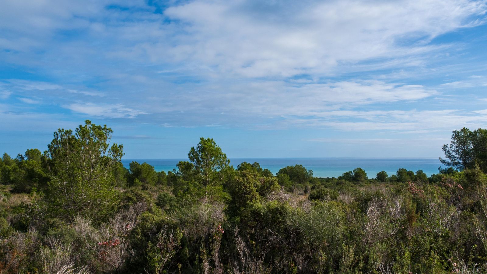 Vista del Parc Natural de la Serra d'Irta