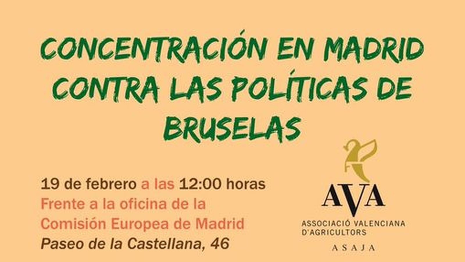 19.02.2019 | NM Entrevista a Juan Salvador Torres, d\'AVA-Asaja, sobre la protesta del sector citrícola a Madrid
