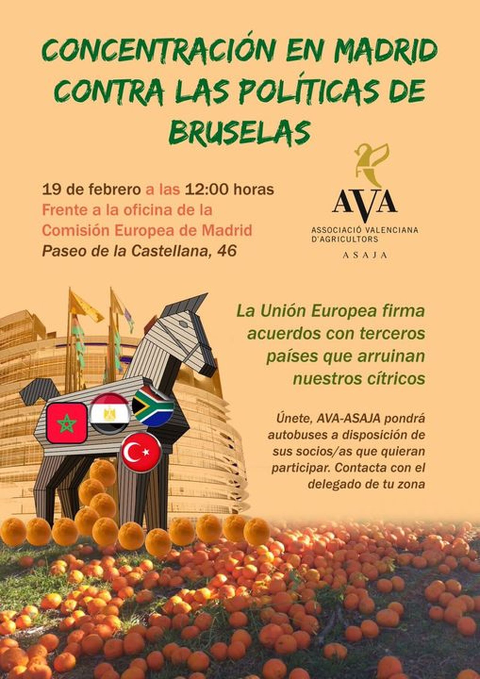 19.02.2019 | NM Entrevista a Juan Salvador Torres, d\'AVA-Asaja, sobre la protesta del sector citrícola a Madrid