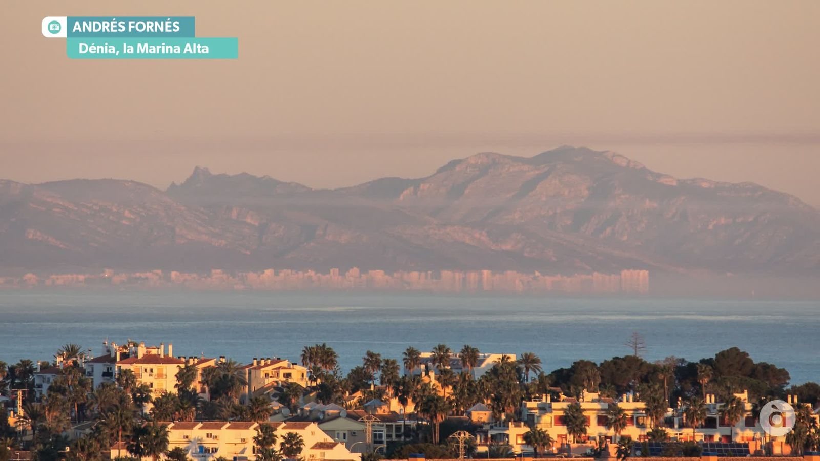 captura_2026-02-21 NIT_JAVI_F DENIA_WM