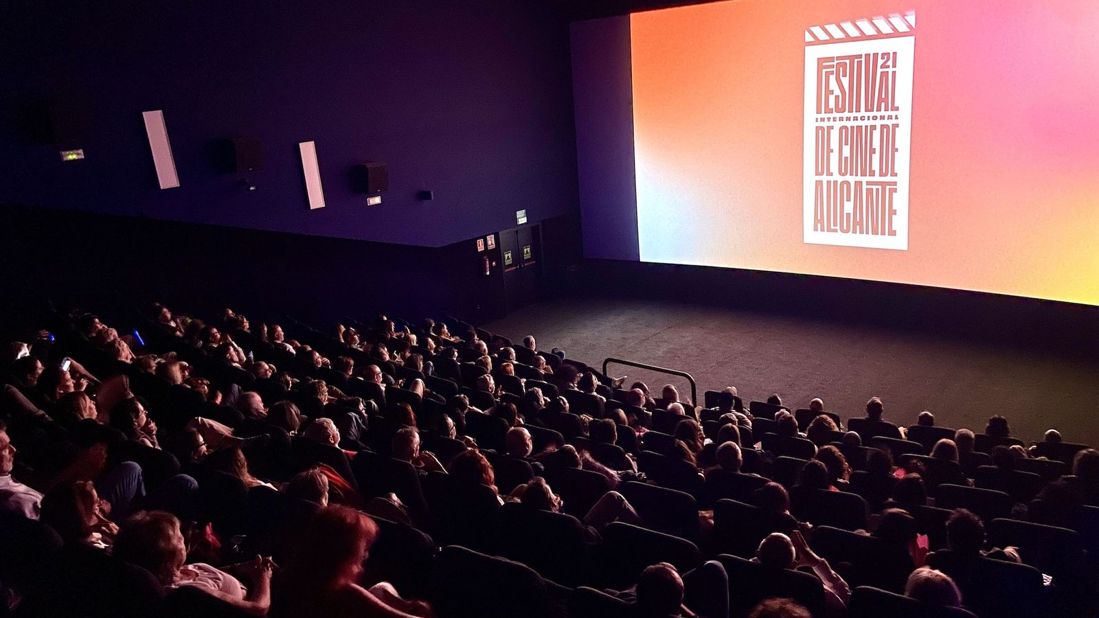 Públic a l'edició passada del Festival de Cine d'Alacant