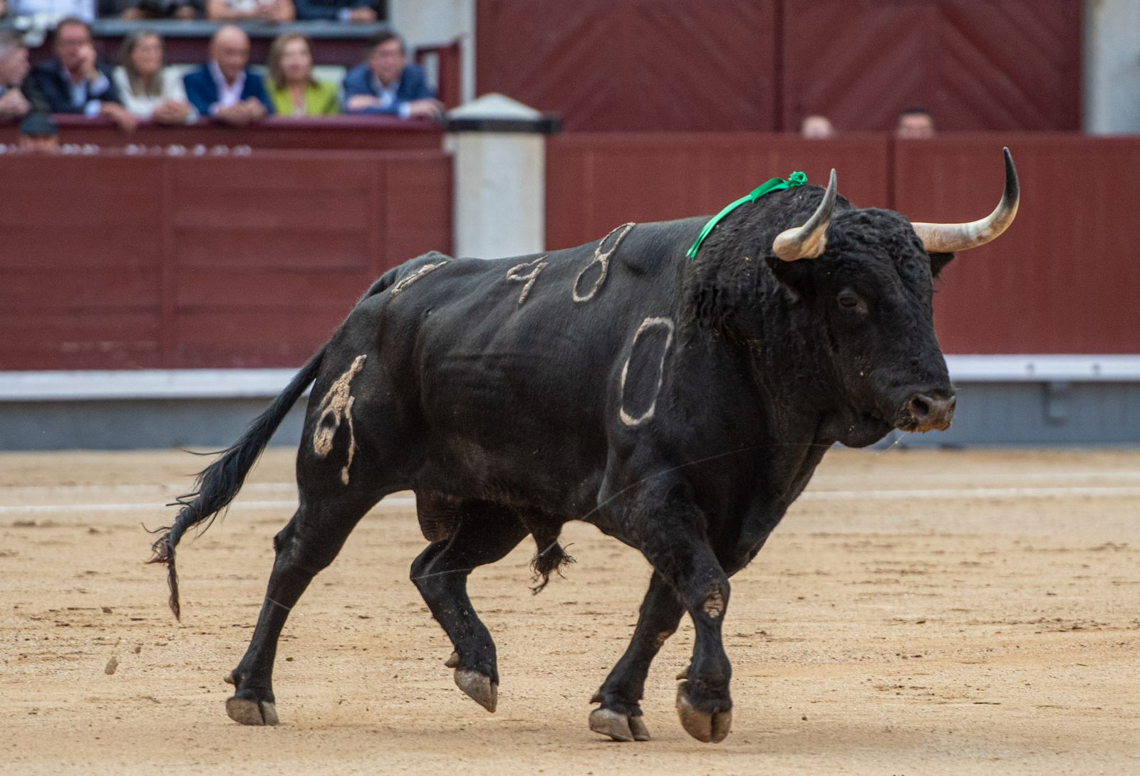 Les millors ramaderies