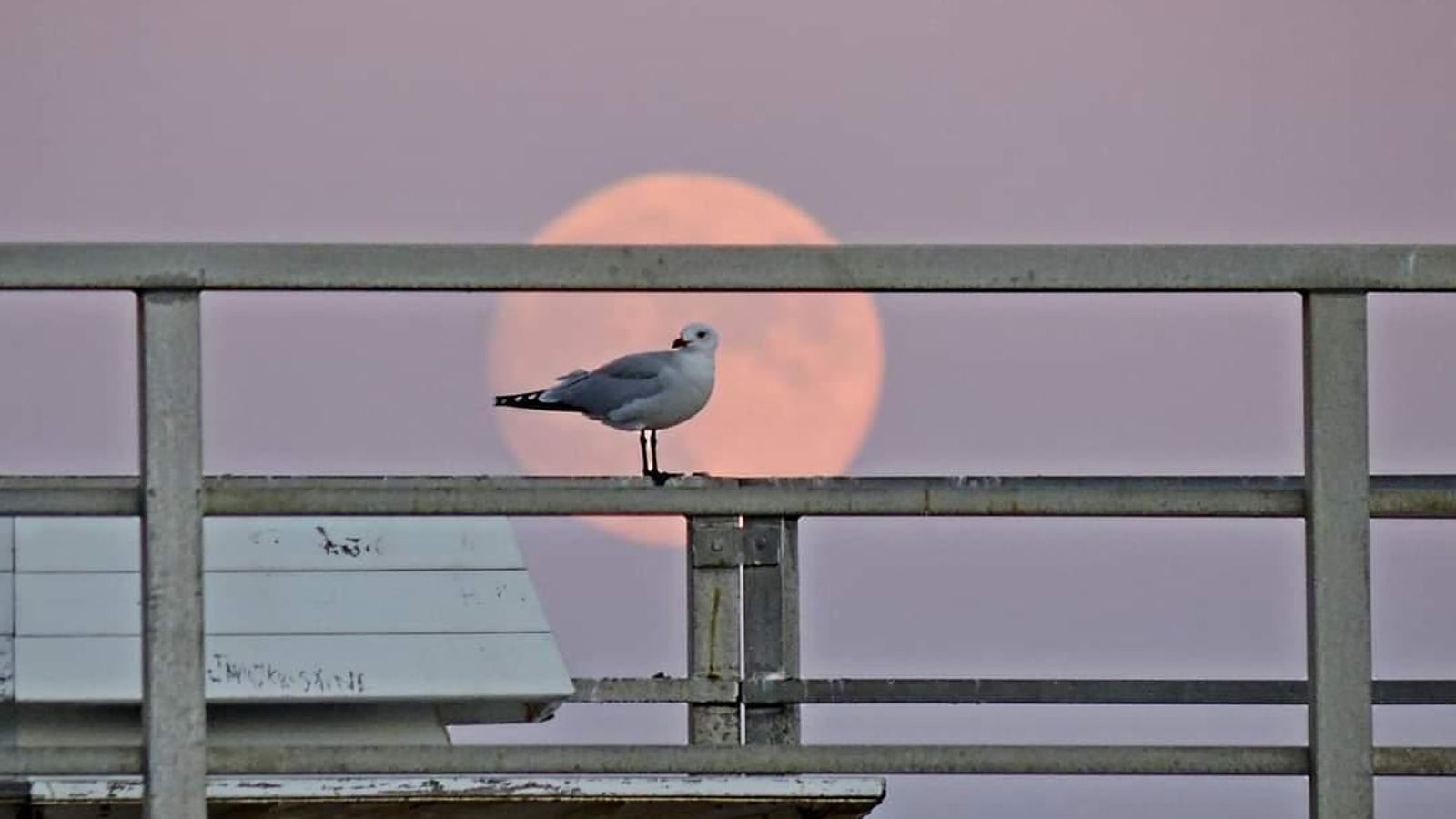 XILXES, LA PLANA BAIXA