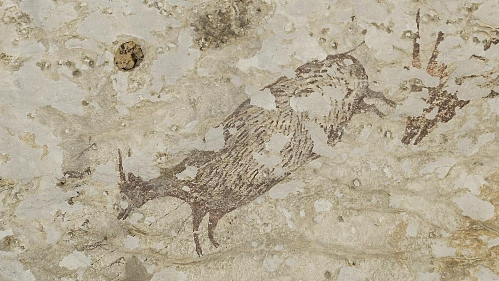 Detall de les pintures descobertes a l'illa de Cèlebes
