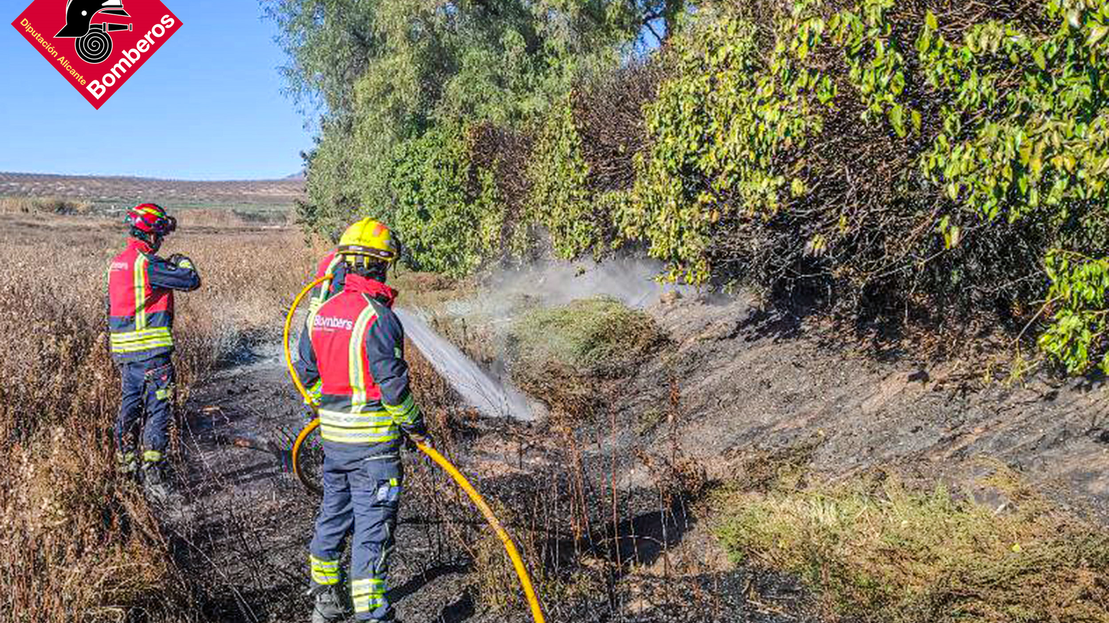 Bombers del Consorci d'Alacant en una imatge d'arxiu