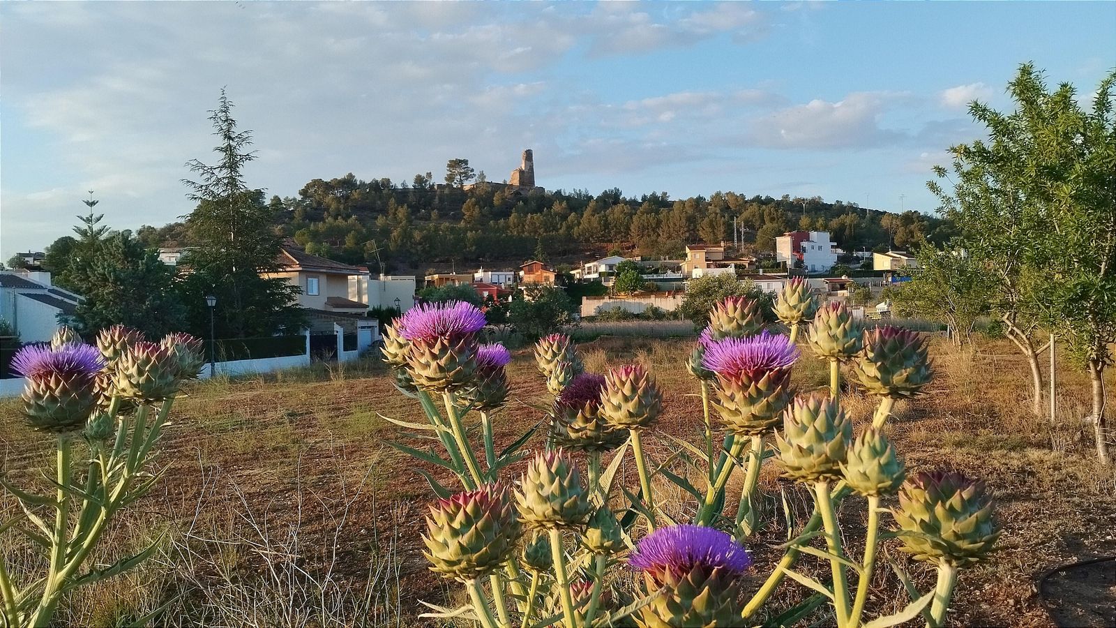 MACASTRE, LA FOIA DE BUNYOL