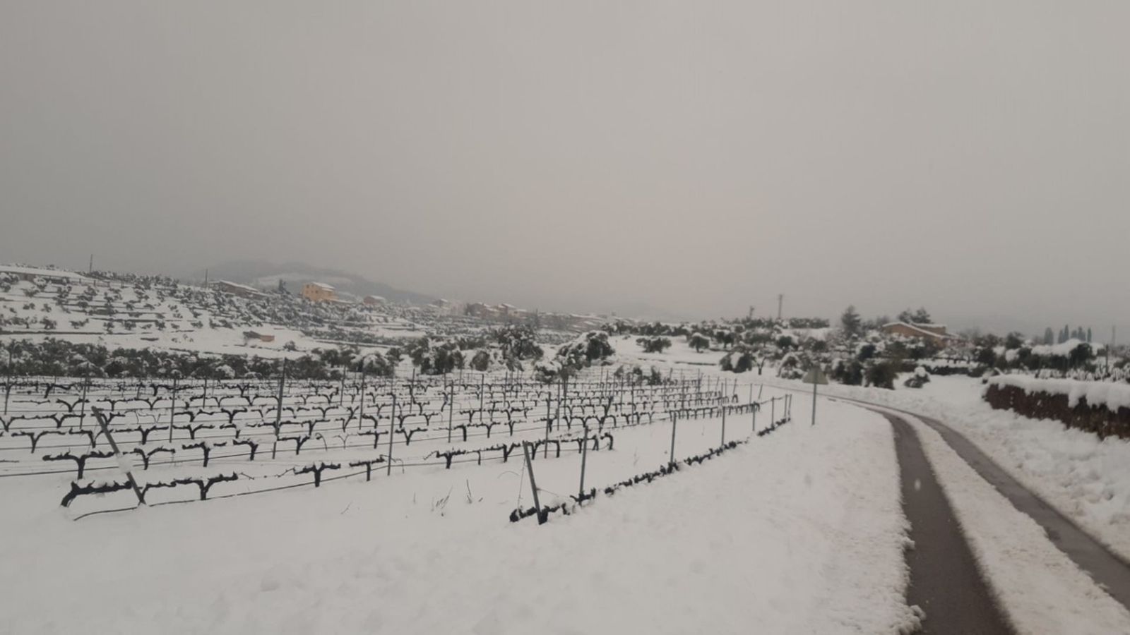 Un camp cobert per la neu.