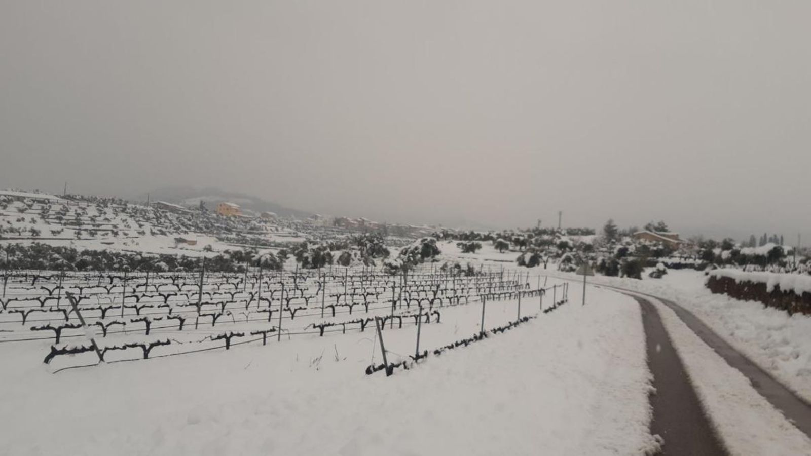Un camp cobert per la neu.