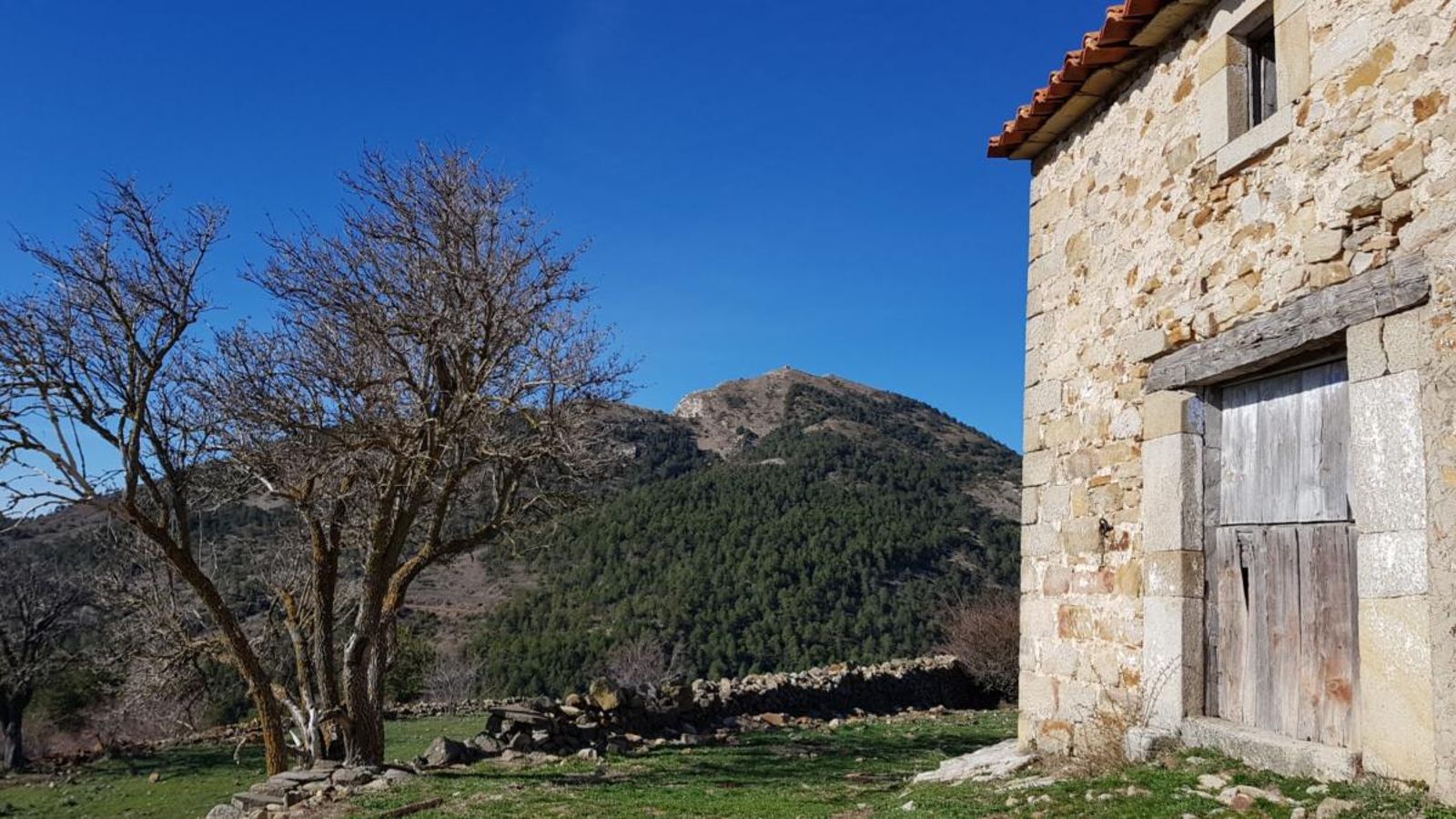 El mas de Sanahuja, amb el Penyagolosa al fons
