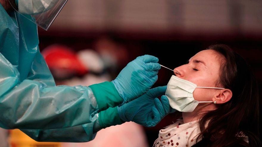 Imatge d'una prova PCR Imatge d'una prova PCR