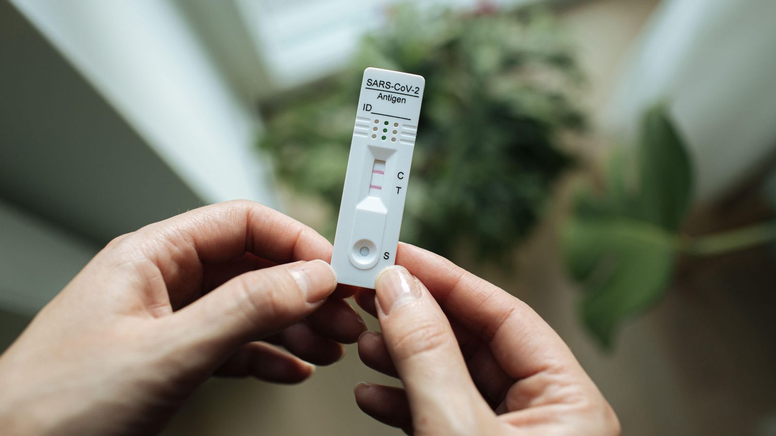 Un test d'antígens on les dues ratlles roges indiquen la infecció