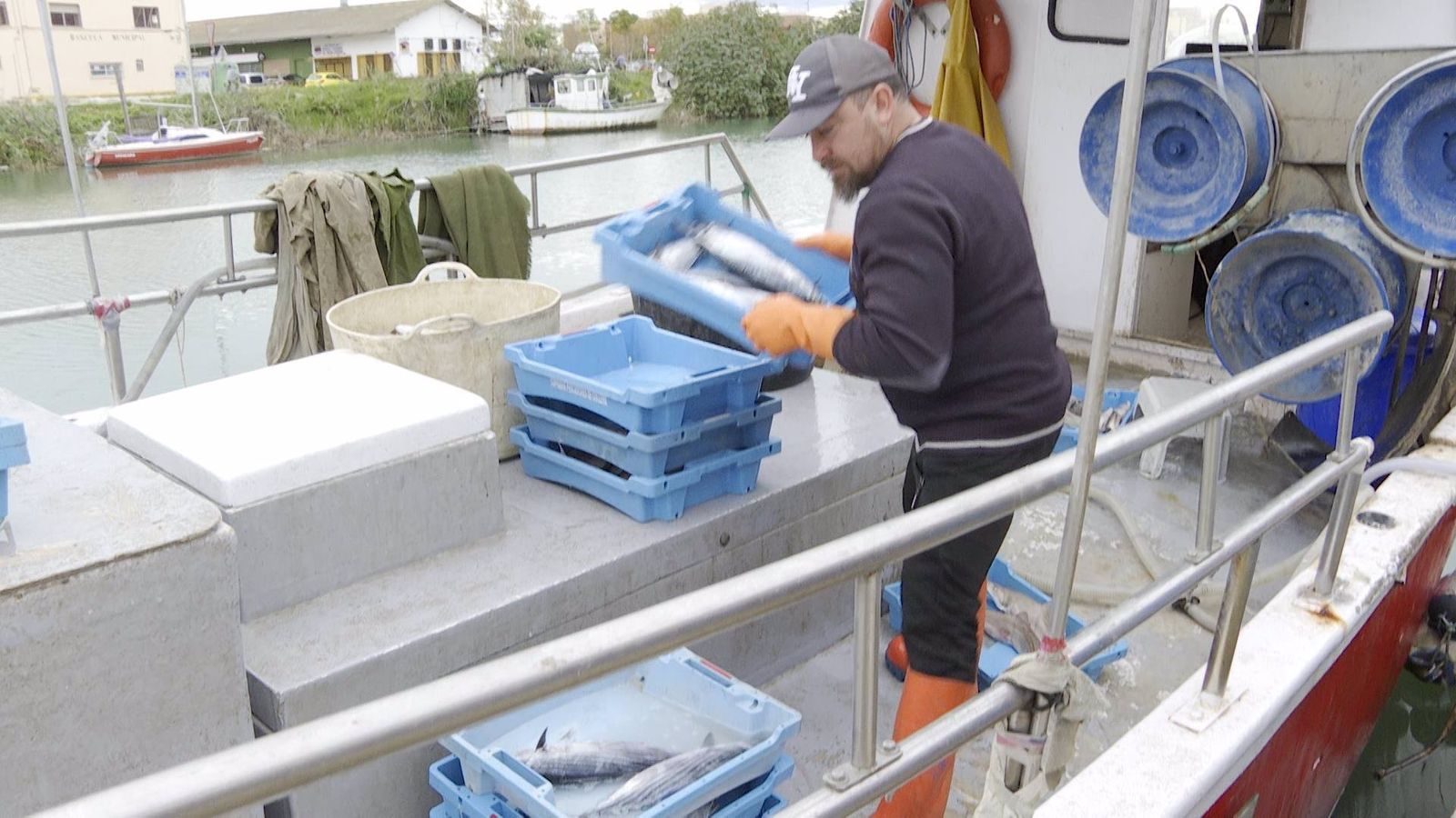 Les confraries denuncien la limitació de dies de pesca al Mediterrani