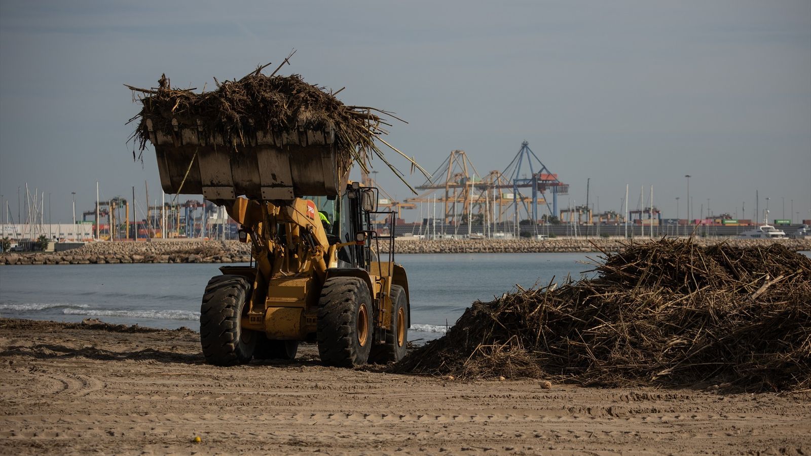 Restes de canyes i altres residus vegetals a Pinedo