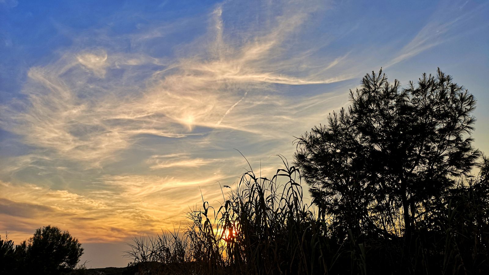 Guardamar del Segura