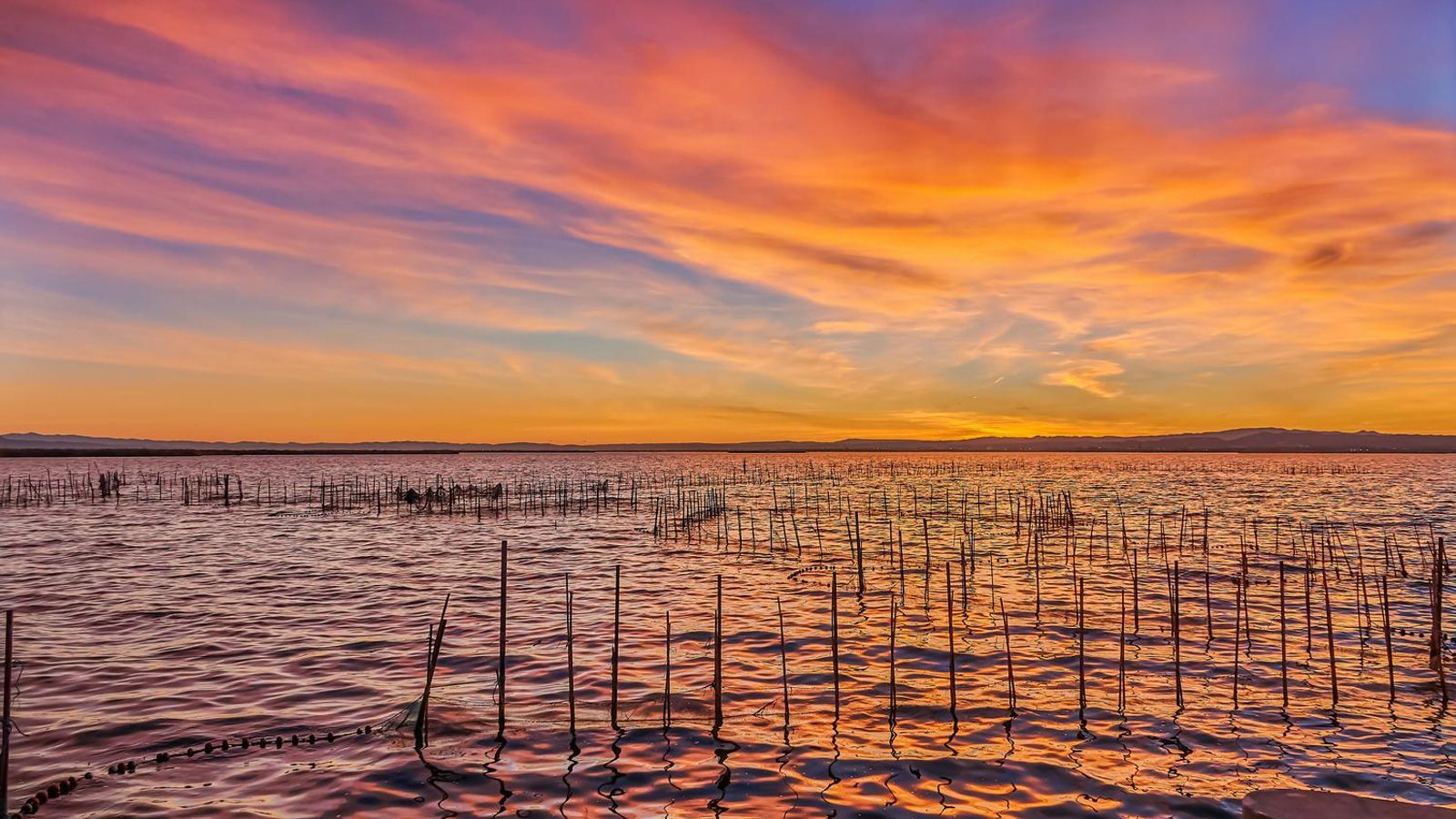 Albufera de València