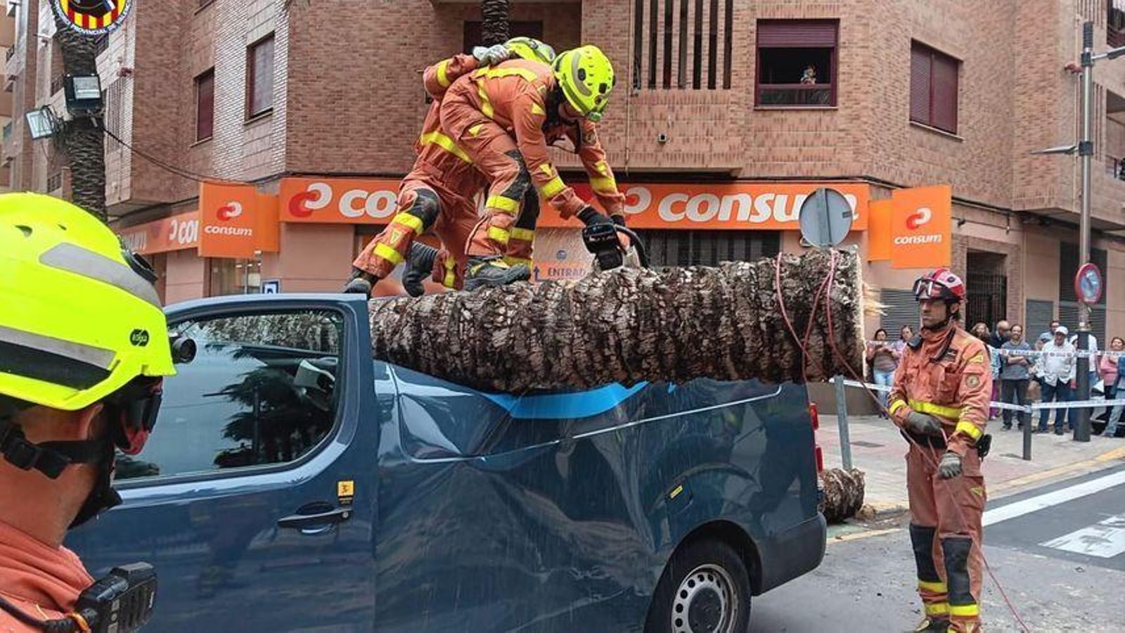 Palmera caiguda per l'episodi de tempestes a Torrent