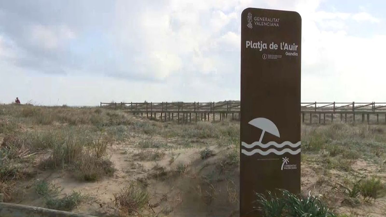 La platja verge de l’Auir, entre Xeraco i Gandia