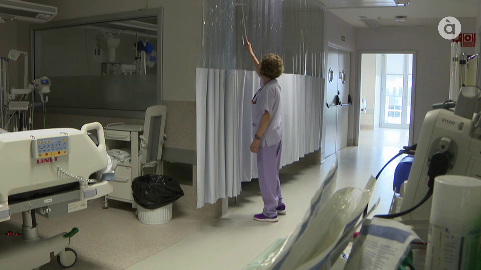 València acull l\'XI Congrés Internacional de la Federació Europea del Dolor