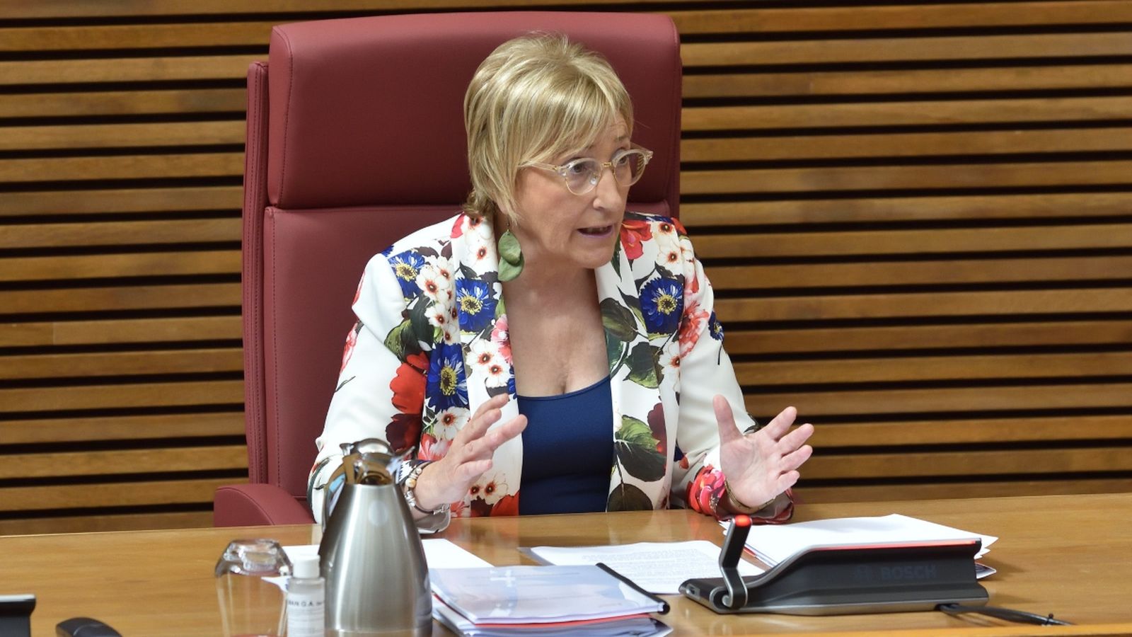 Ana Barceló, durant la compareixença a les Corts