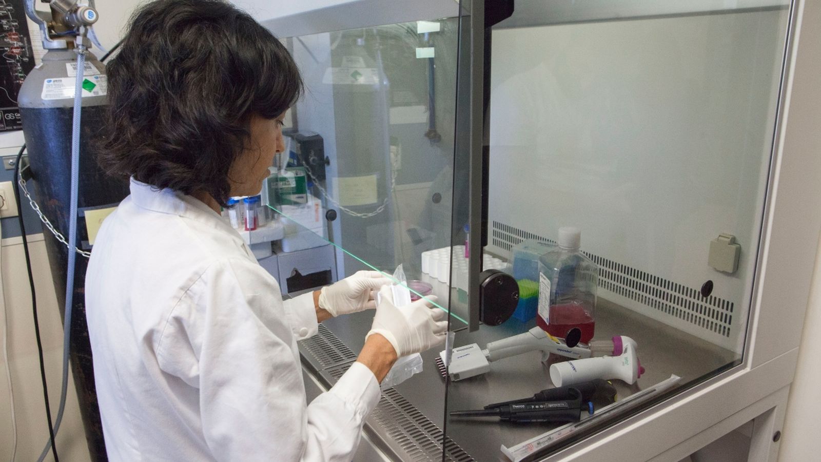 Una investigadora en un laboratori de la Universitat Jaume I de Castelló en una imatge d'arxiu