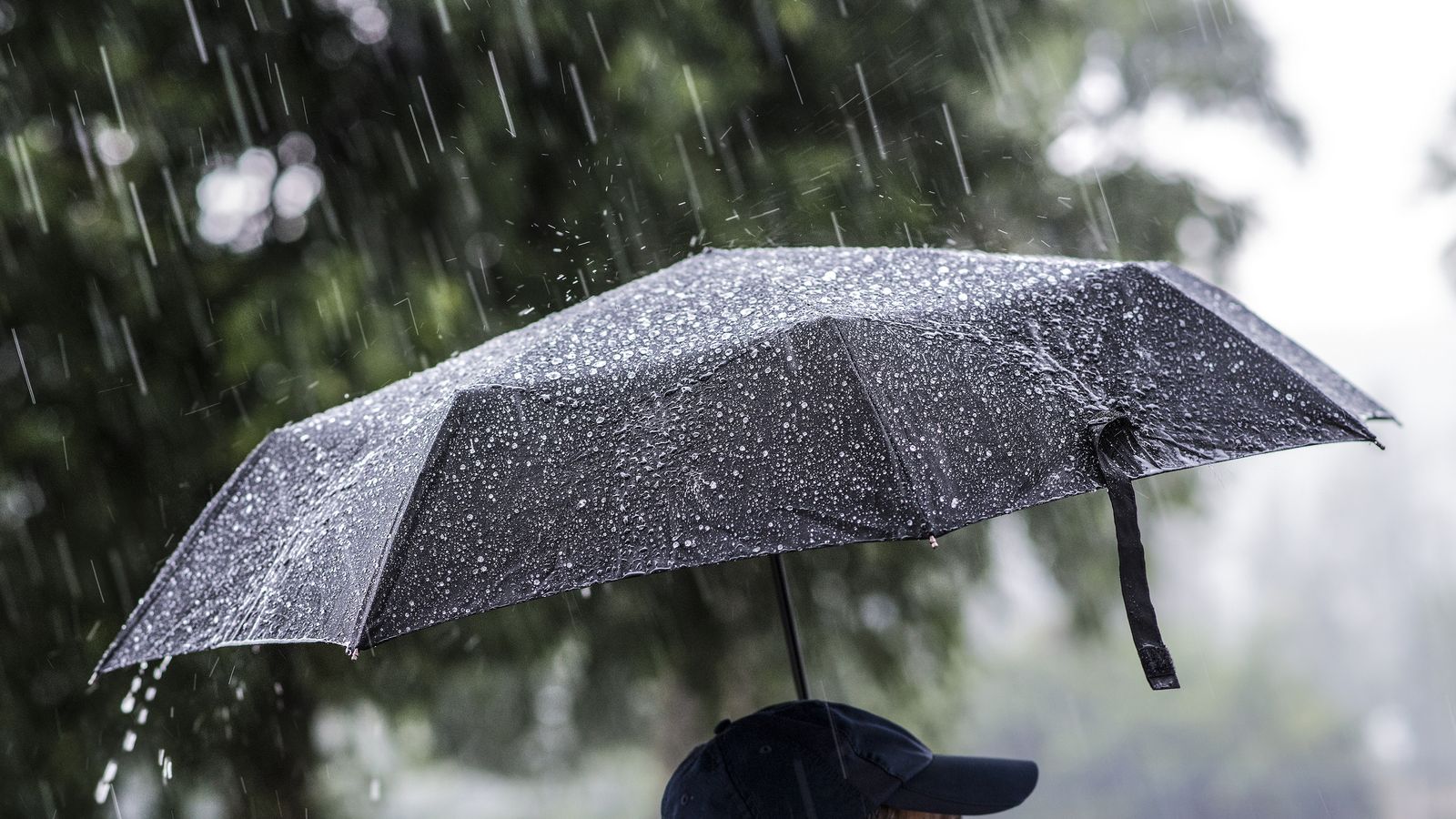 Imatge d'arxiu de pluja