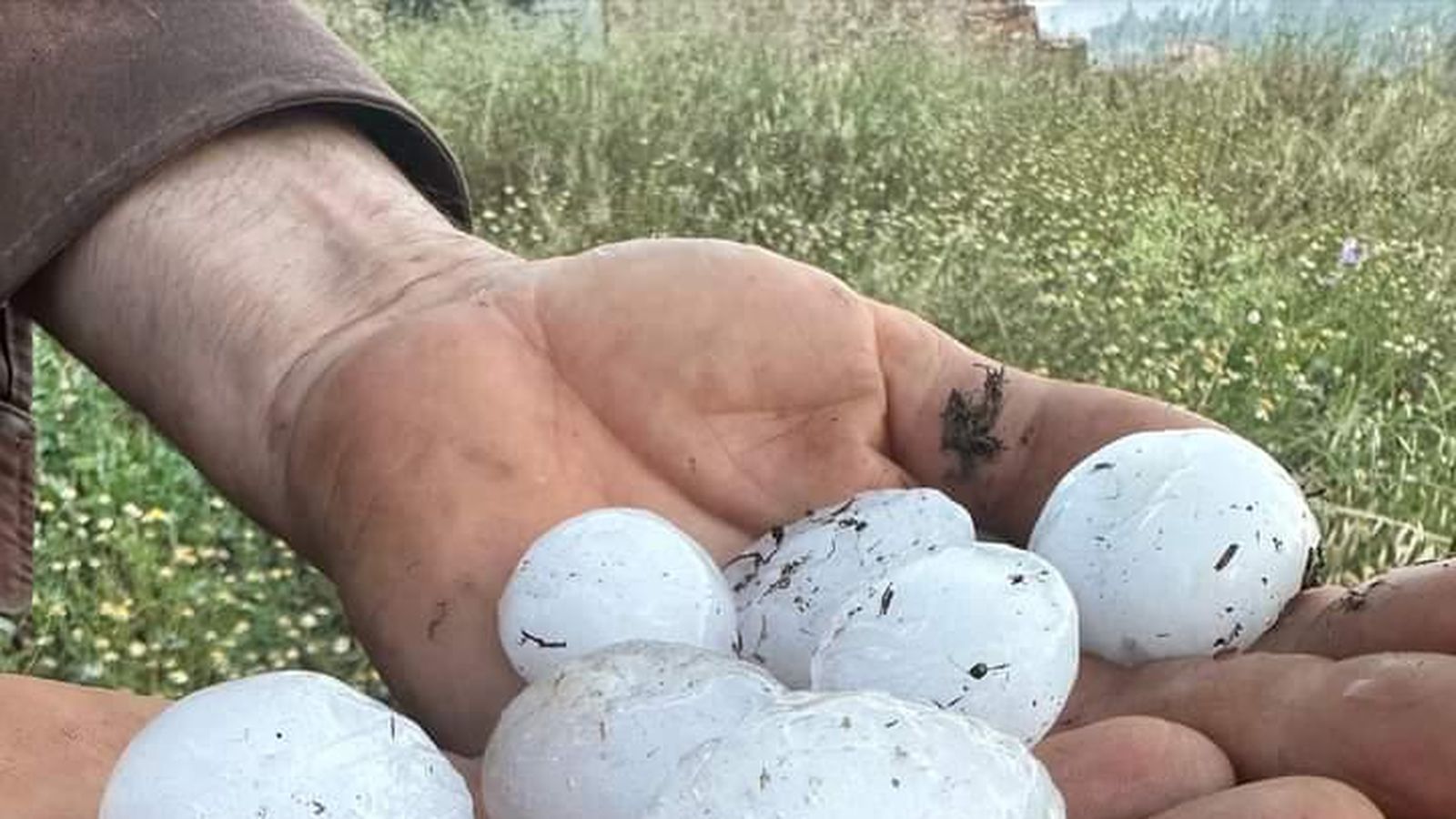 TORRE ALTA, EL RACÓ D'ADEMÚS