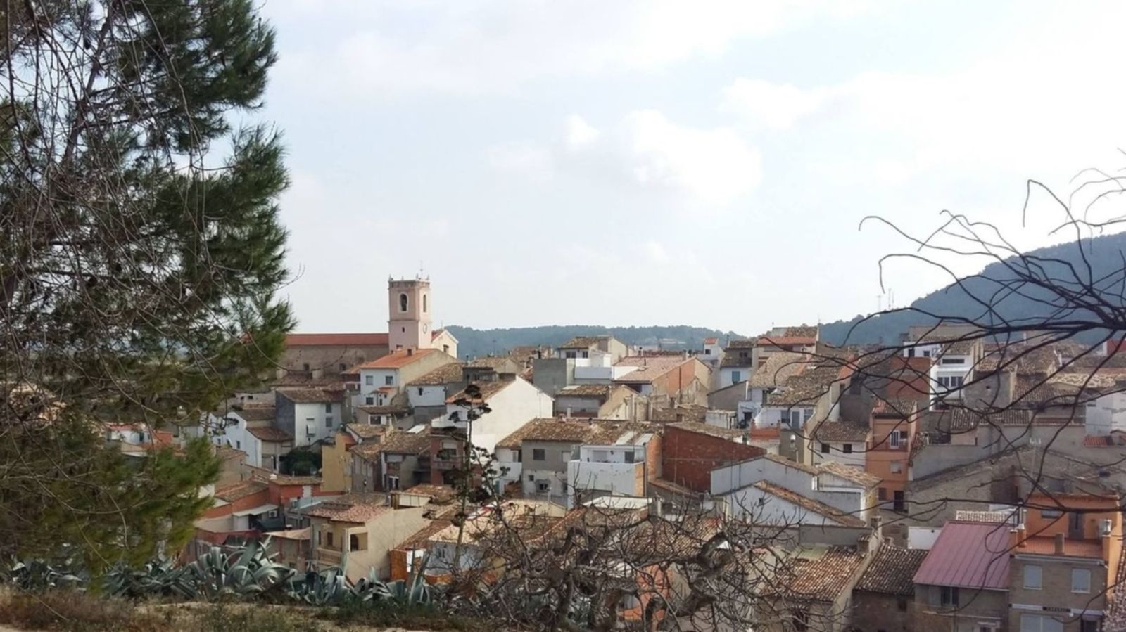 12.08.2019 | Entrevista a Jeannette Segarra, directora general de l'Agència Valenciana Antidespoblament