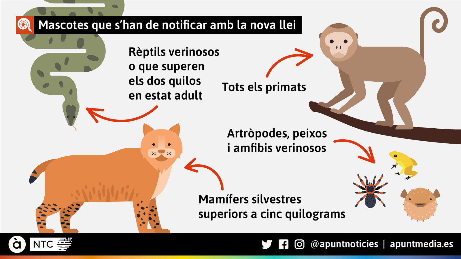 Mascotes que s'han de notificar amb la nova llei