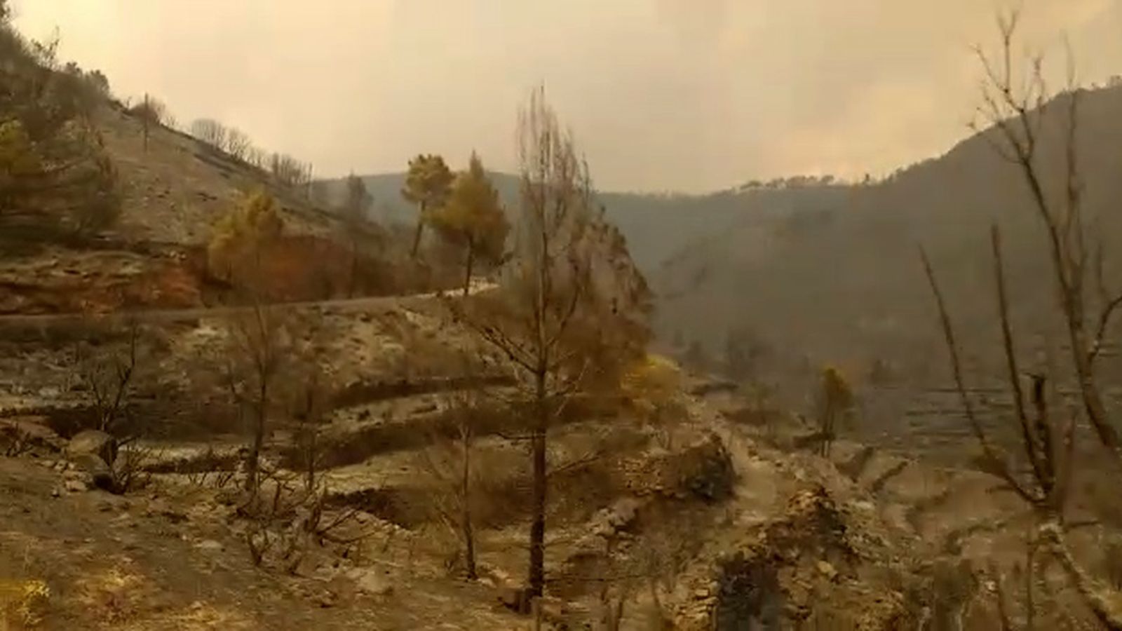 Primeres imatges del desolador panorama que ha deixat l’incendi de Begís