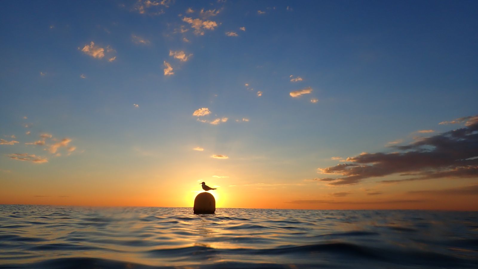 Alboraia, l'Horta Nord