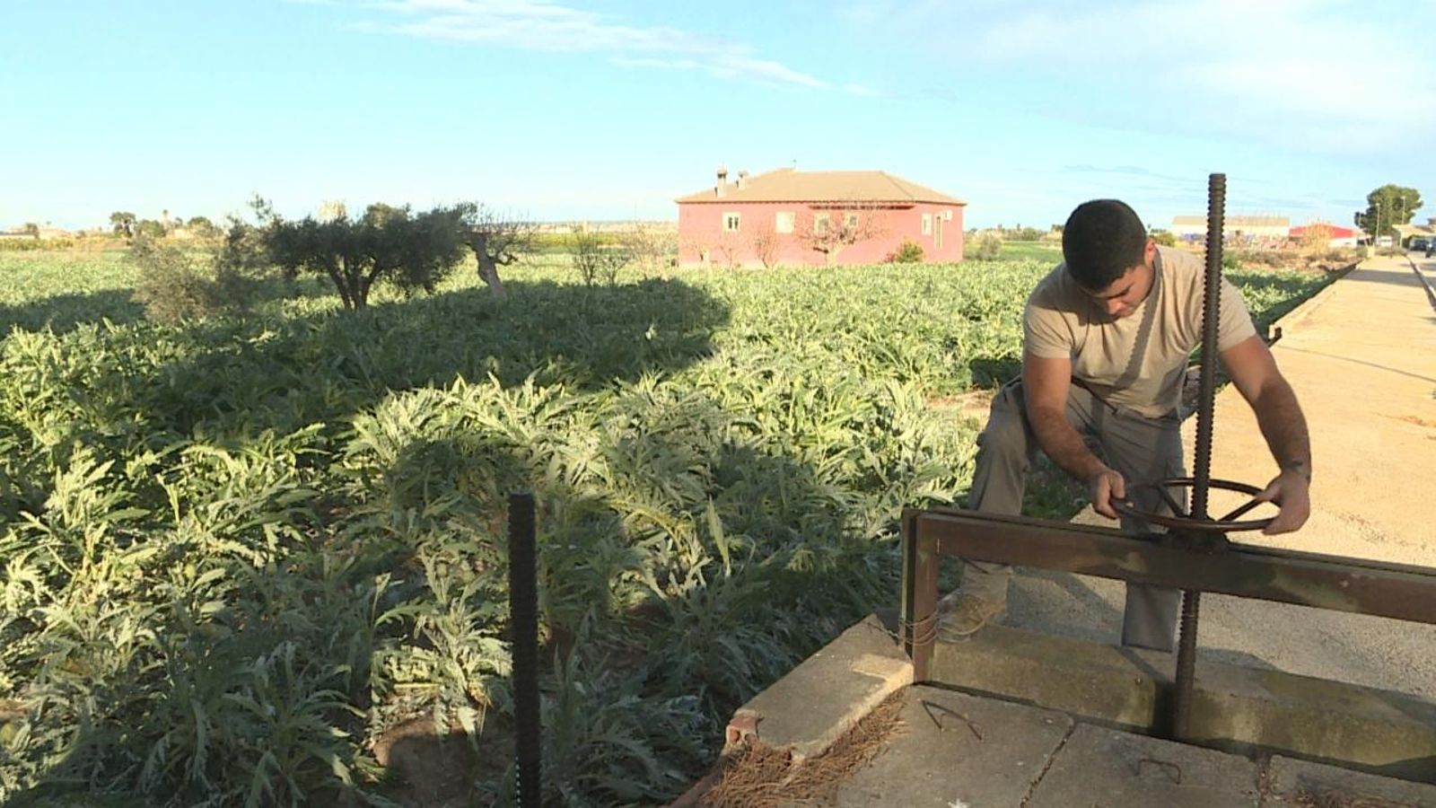 L'aigua corrent pels cultius del Baix Segura serà dificil de vore en els pròxims mesos