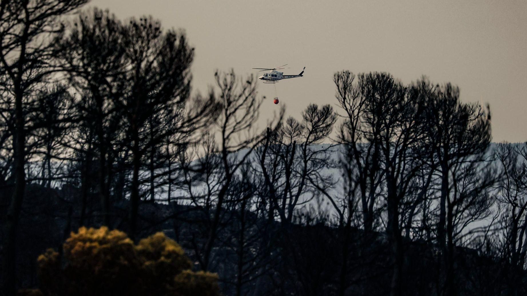 La Comunitat Valenciana enviarà a Castella i Lleó un contingent de més de 130 efectius i diversos vehicles terrestres perquè s'incorporen a l'extinció dels incendis