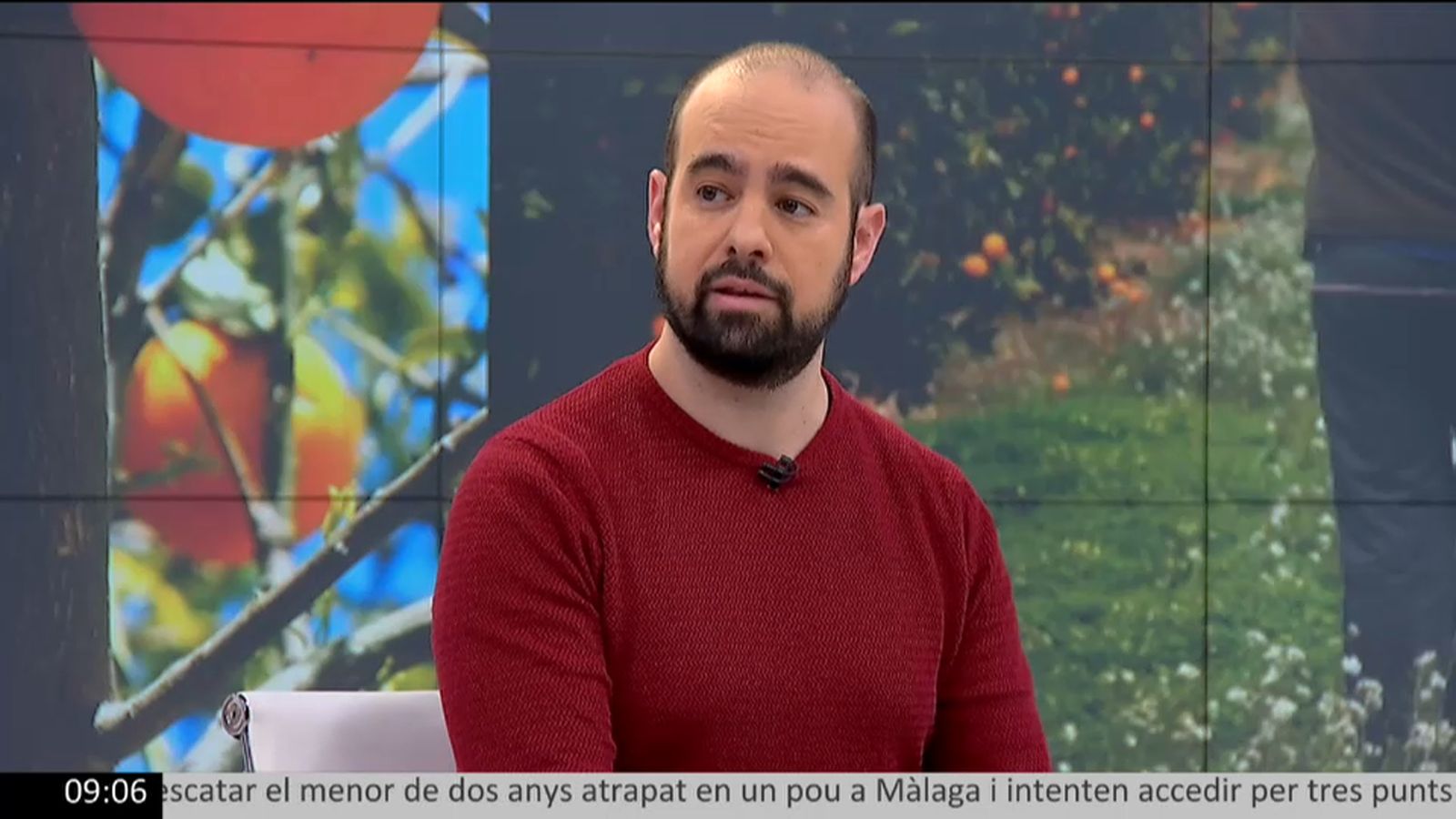 Ricardo Bayo en 'À Punt Notícies matí'