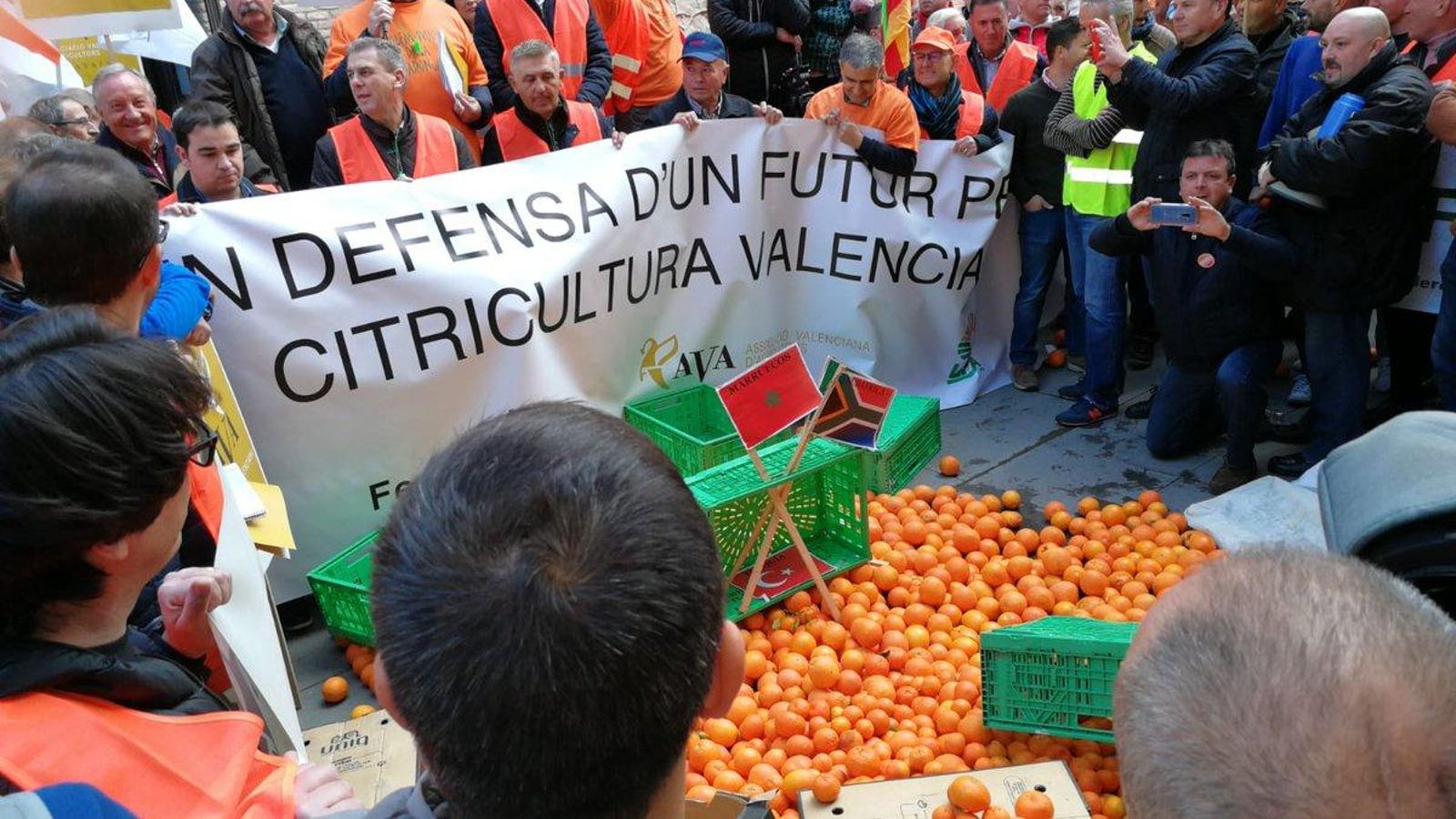 Els llauradors van escampar taronges davant de la Conselleria d'Agricultura en protesta pels preus dels cítrics Els llauradors van escampar taronges davant de la Conselleria d'Agricultura en protesta pels preus dels cítrics