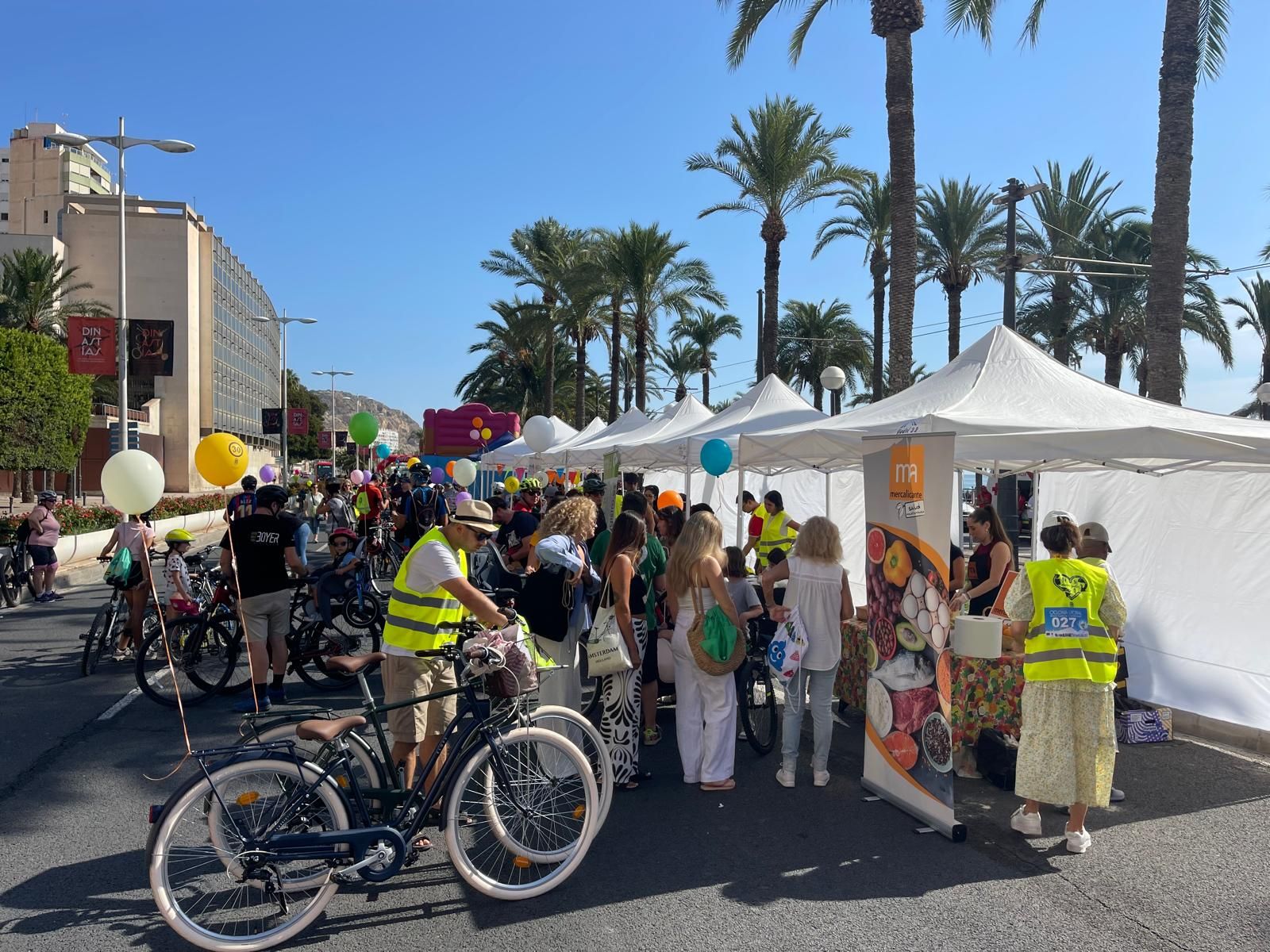Celebració del Dia Europeu sense Cotxes a Alacant