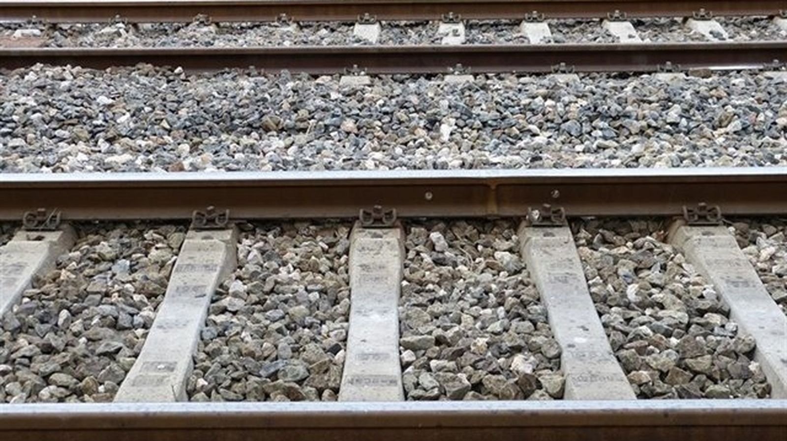 Navaixes i Xèrica valoren la tornada del tren però troben a faltar més infraestructures