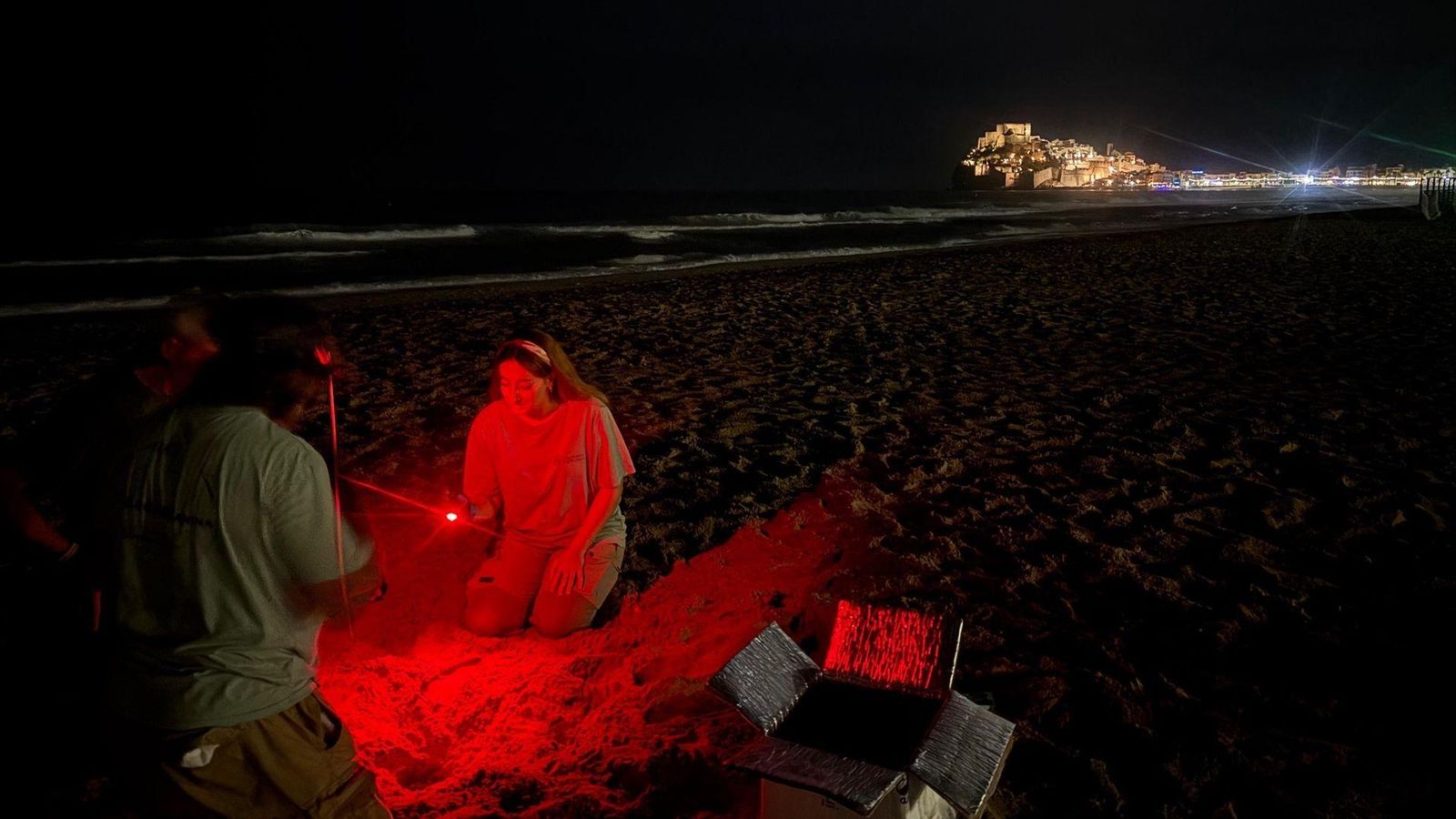 Localitzen un niu de tortuga marina a Peníscola